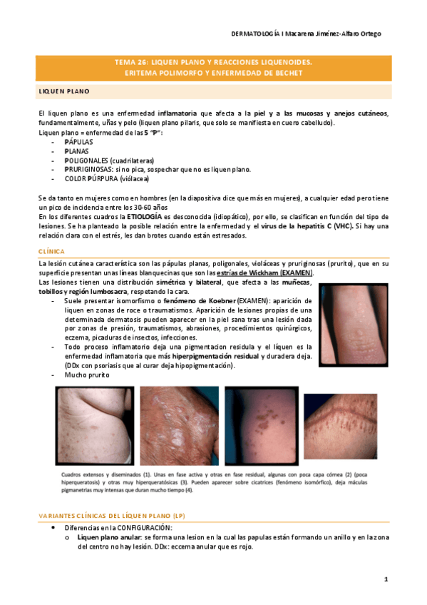 Miniatura del documento 26.pdf