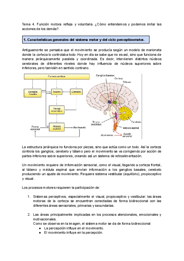 Miniatura del documento Tema-4.pdf