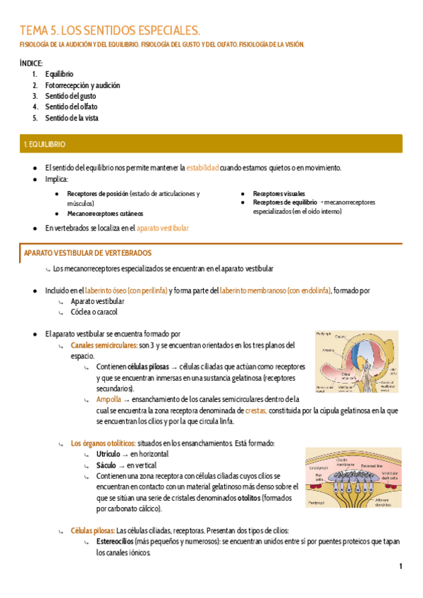 Miniatura del documento TEMA-5.pdf