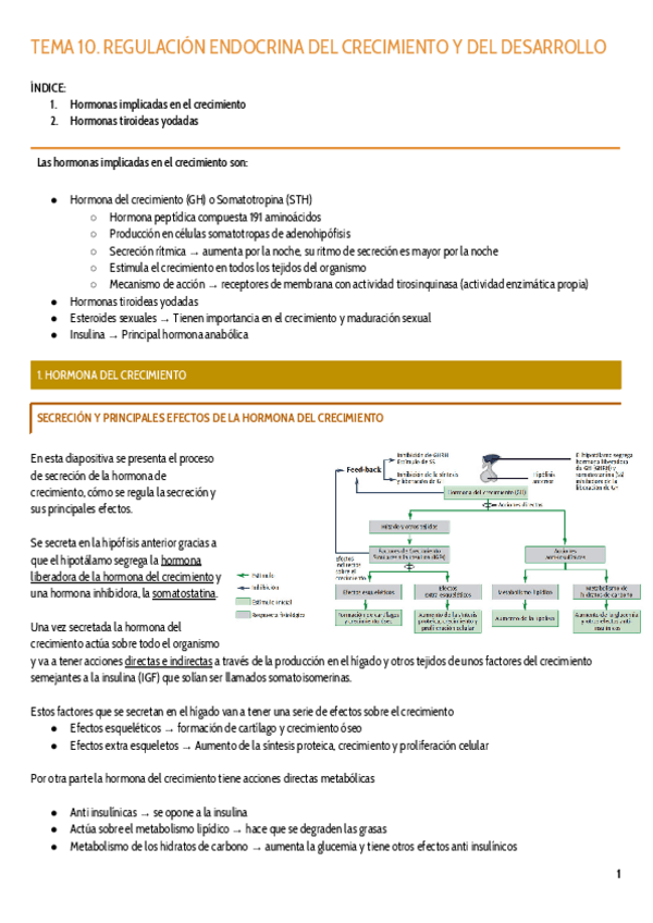 Miniatura del documento TEMA-10.pdf