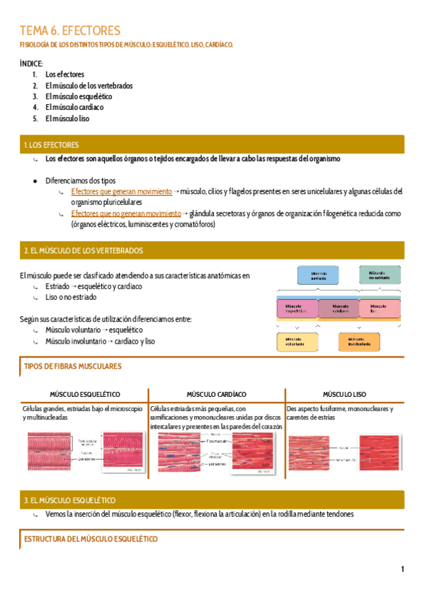 Miniatura del documento TEMA-6.pdf