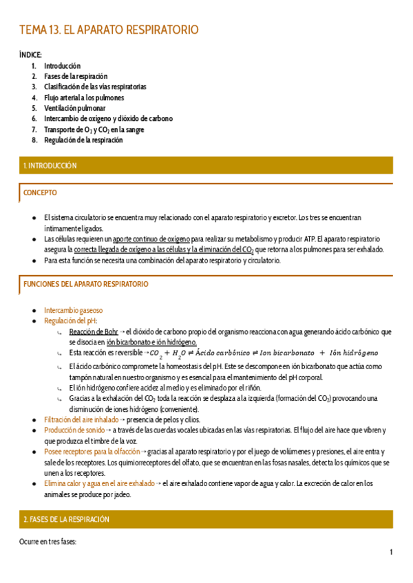 Miniatura del documento TEMA-13.pdf