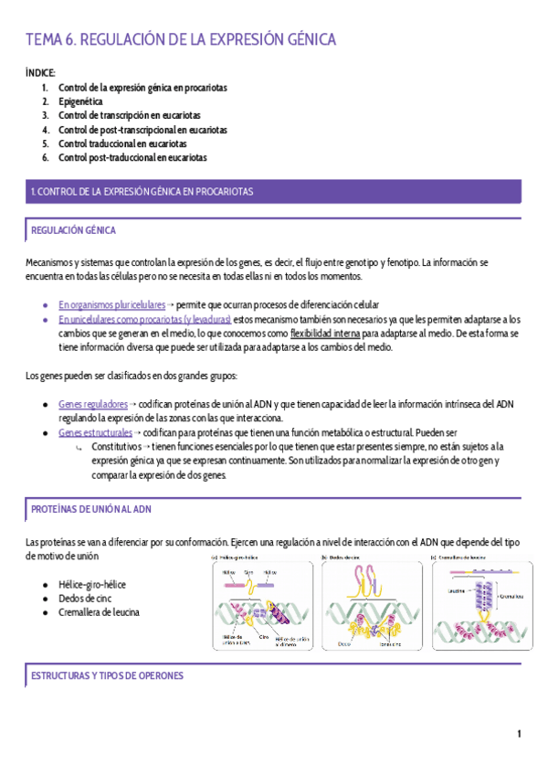Miniatura del documento TEMA-6.pdf