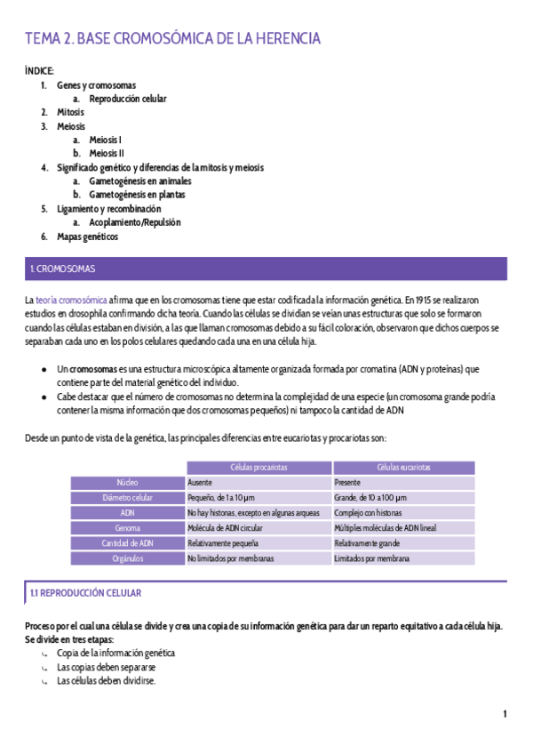 Miniatura del documento TEMA-2.pdf