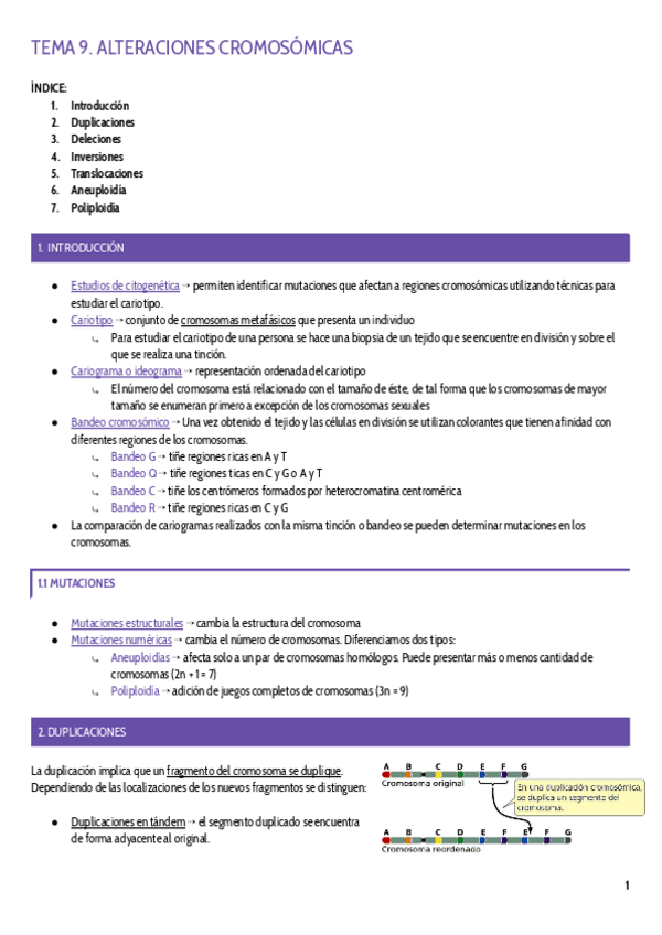 Miniatura del documento TEMA-9.pdf
