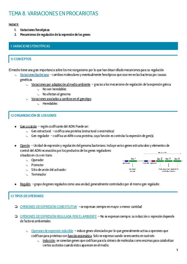 Miniatura del documento TEMA-8.pdf