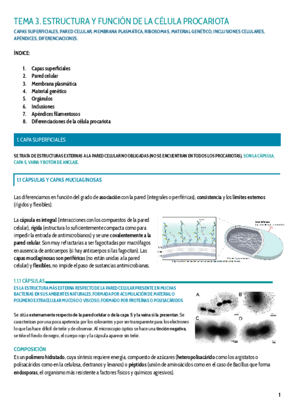 Miniatura del documento TEMA-3.pdf