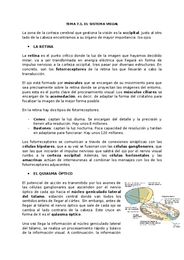Miniatura del documento TEMA-7.docx