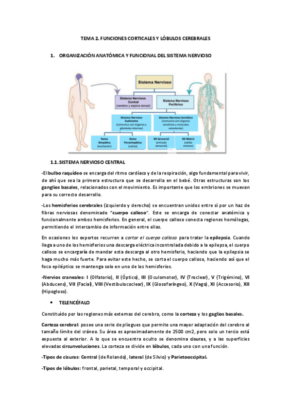 Miniatura del documento TEMA-2.pdf
