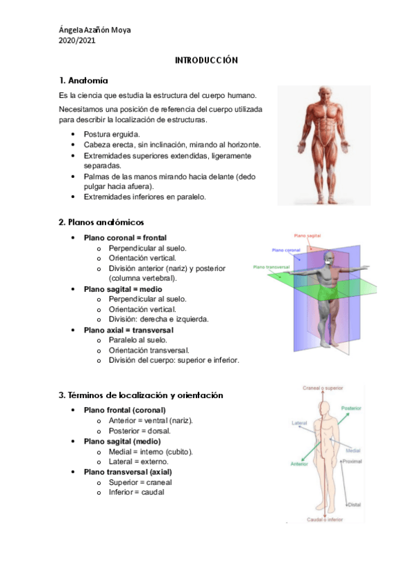 Miniatura del documento introduccion-anatomia.pdf