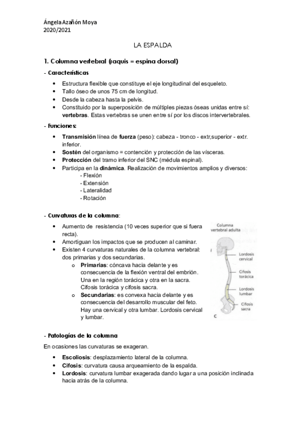 Miniatura del documento Columna-vertebral.pdf