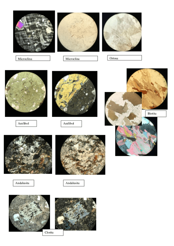 Miniatura del documento Imprimir-Marina.pdf