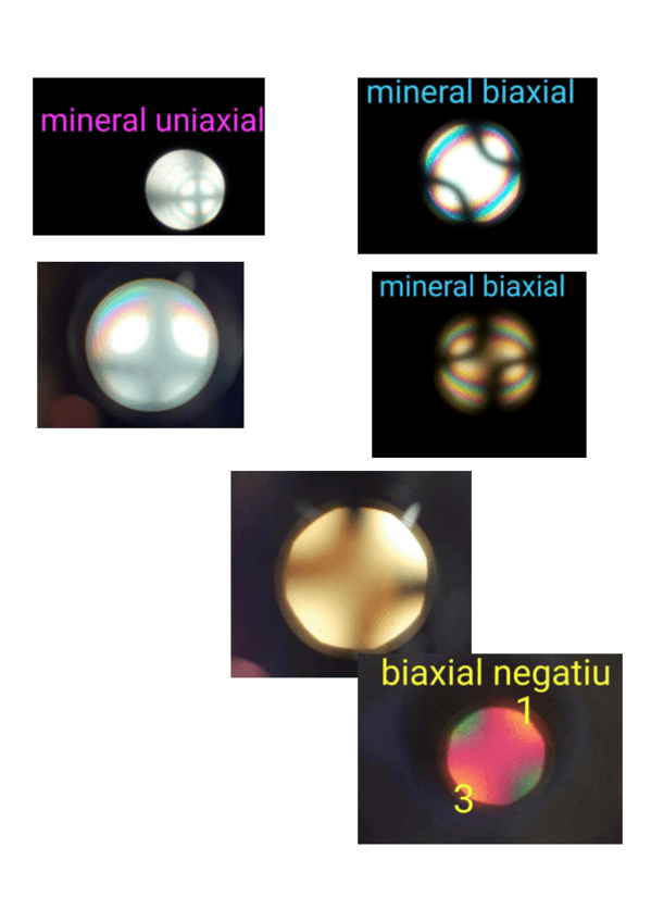 Miniatura del documento micro2.pdf