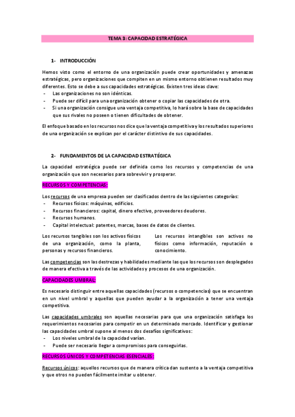 Miniatura del documento Tema-3-CAPACIDAD-ESTRATEGICA.pdf