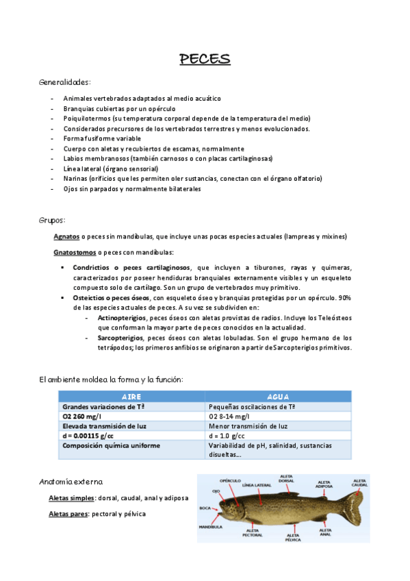 Miniatura del documento Apuntes-Peces.pdf