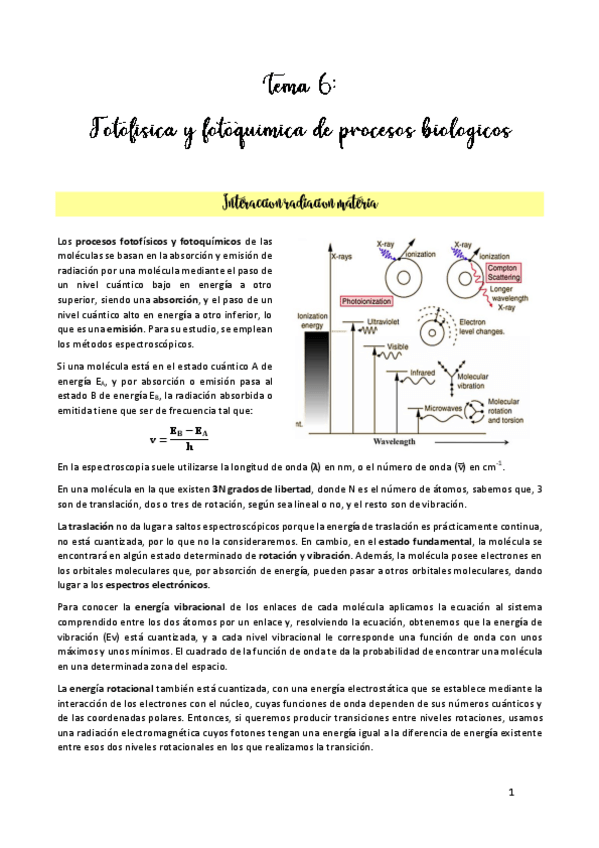 Miniatura del documento TEMA-6.pdf