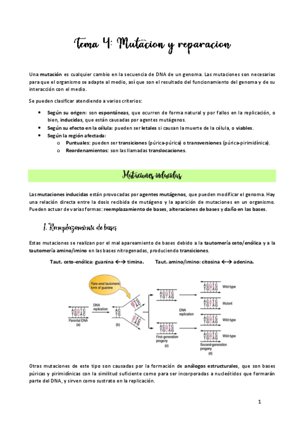 Miniatura del documento TEMA-4.pdf