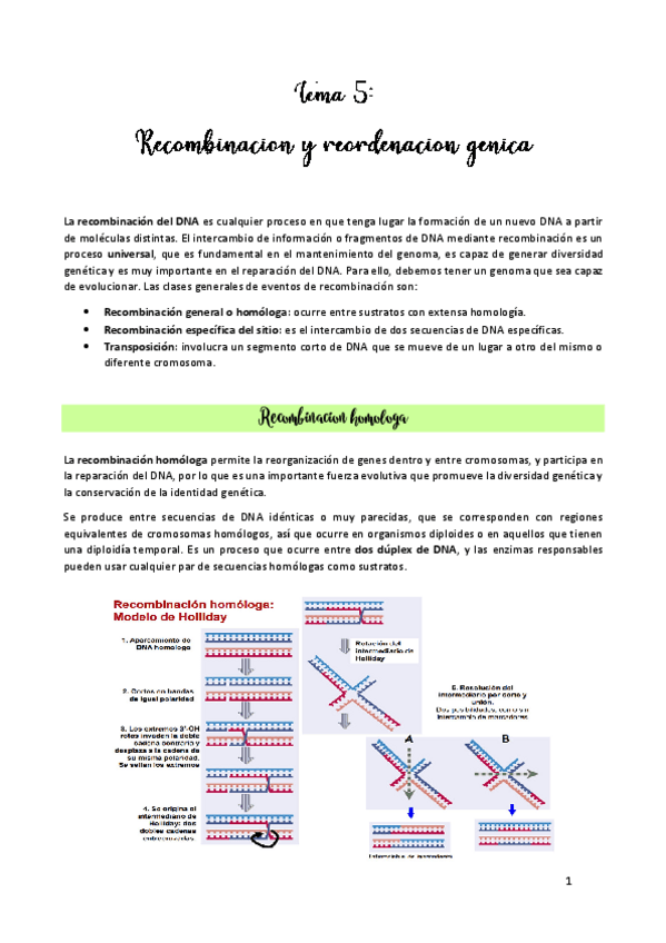 Miniatura del documento TEMA-5.pdf