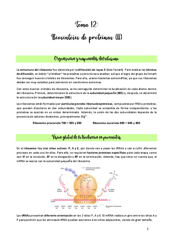 Miniatura del documento TEMA-12.pdf