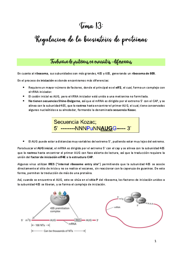 Miniatura del documento TEMA-13.pdf