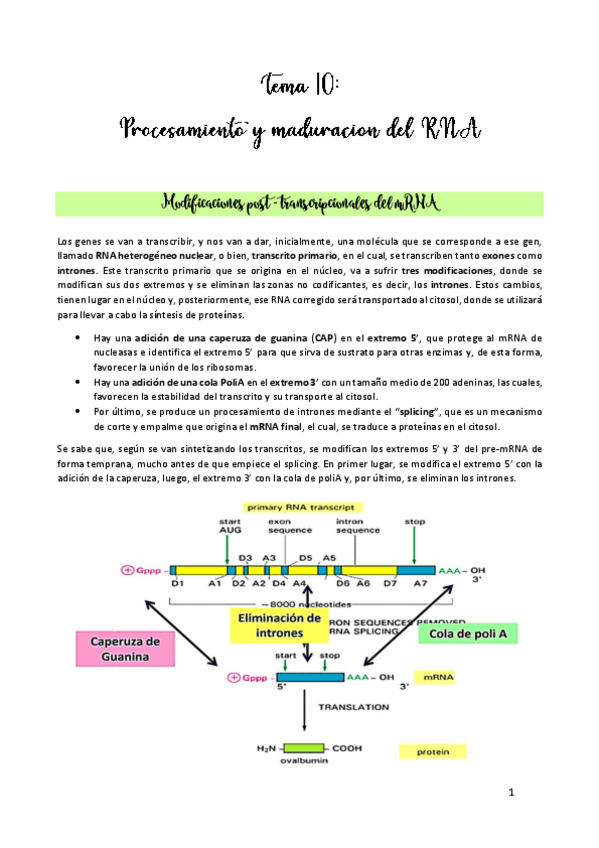 Miniatura del documento TEMA-10.pdf