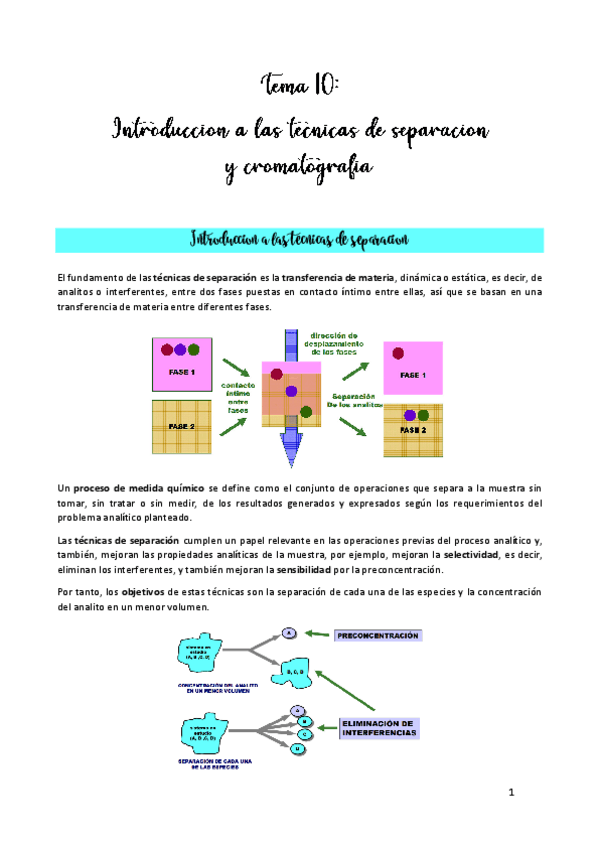 Miniatura del documento TEMA-10.pdf