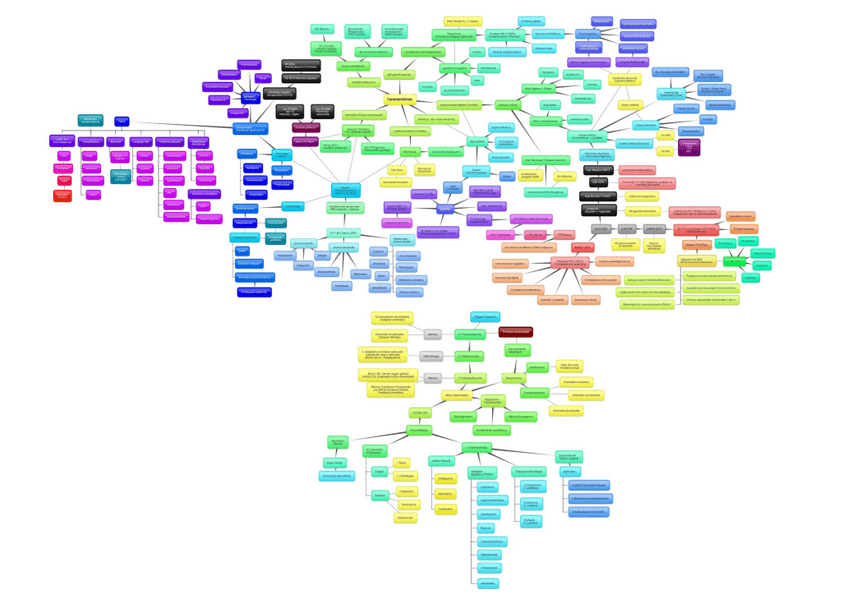 Miniatura del documento SuperEsquema-diferencial-TODO.pdf