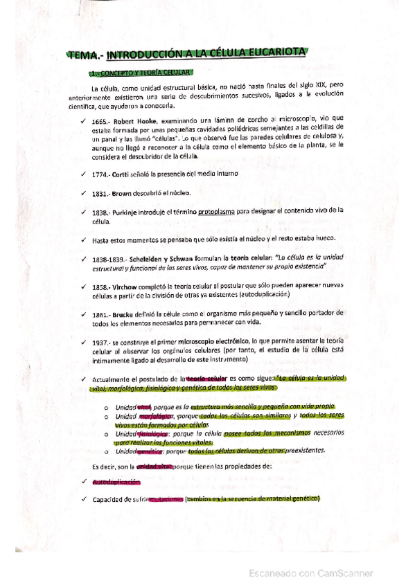 Miniatura del documento Celula-Eucariota.pdf