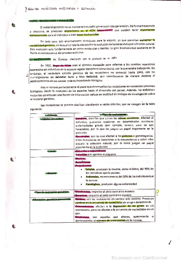 Miniatura del documento Mutaciones-y-evolucion.pdf