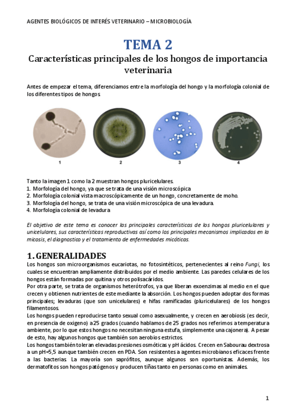 Miniatura del documento Tema-2-Caracteristicas-principales-de-los-hongos-de-importancia-veterinaria-.pdf