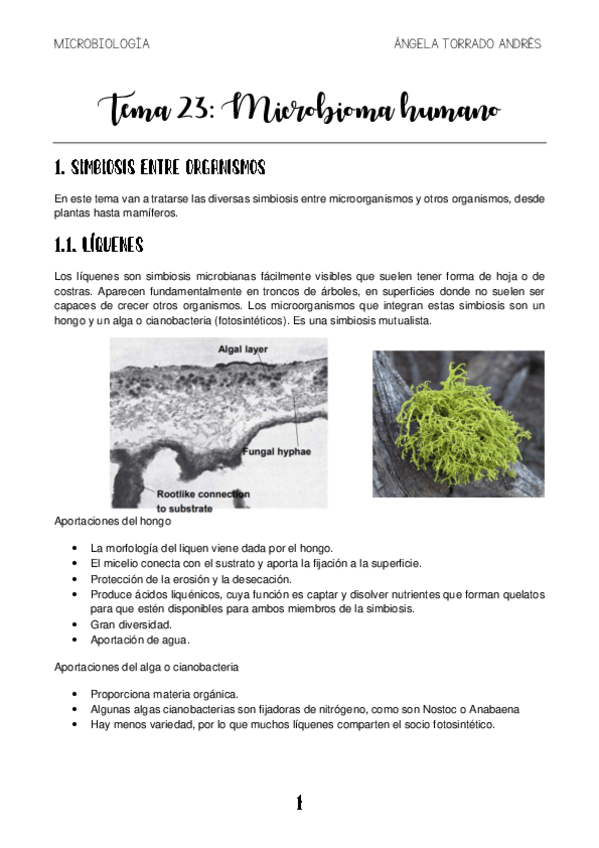 Miniatura del documento MICROBIOLOGIA-TEMA-23.pdf