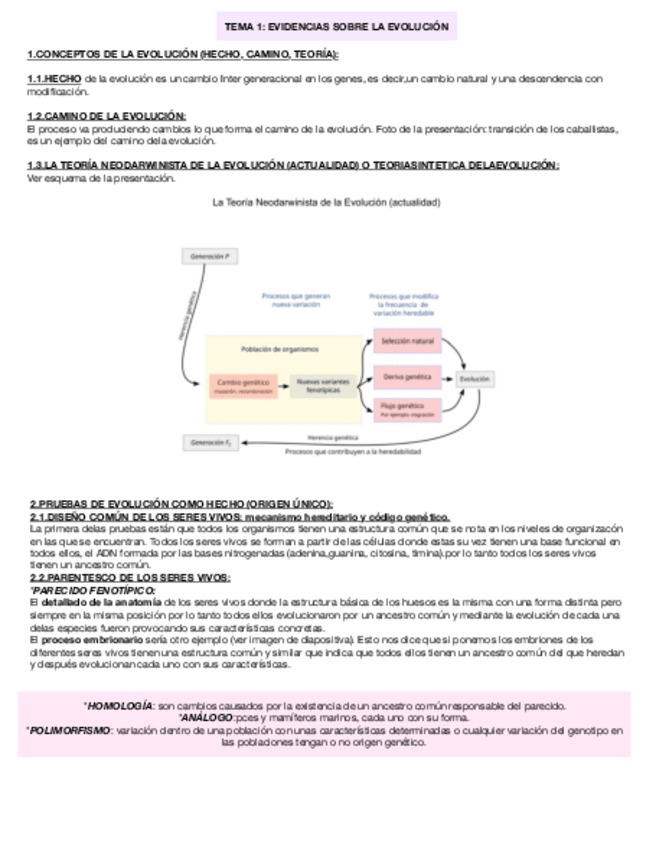 Miniatura del documento TEMA-1-EVIDENCIAS-SOBRE-LA-EVOLUCION.pdf