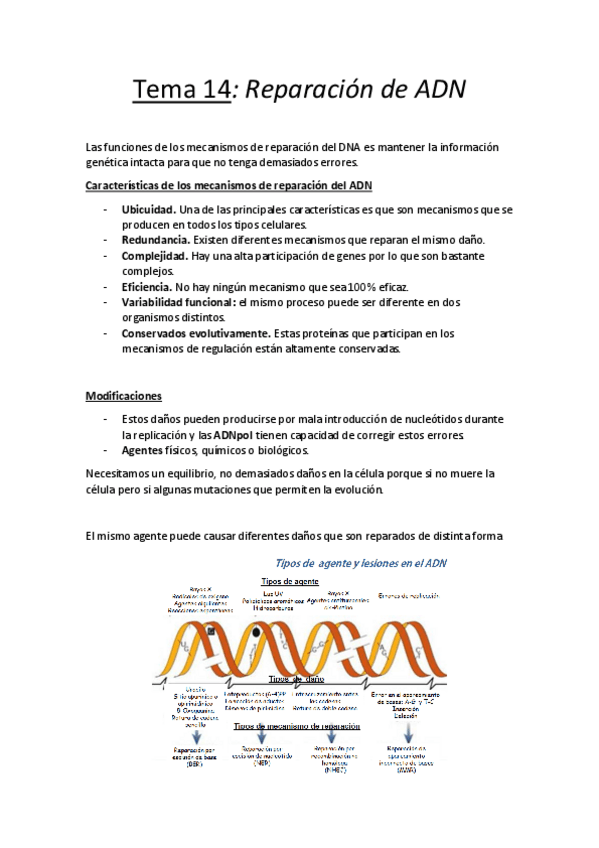 Miniatura del documento Tema 14.pdf