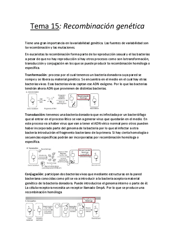 Miniatura del documento Tema 15.pdf