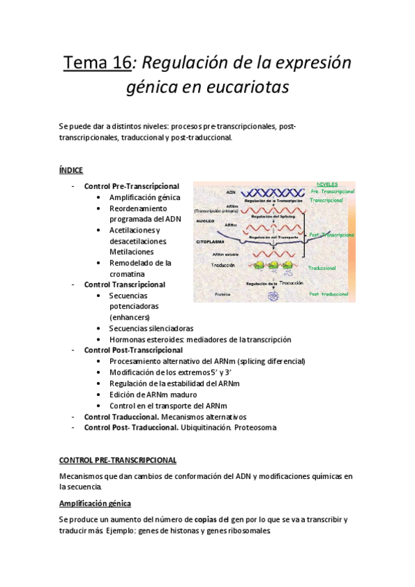 Miniatura del documento Tema 16.pdf