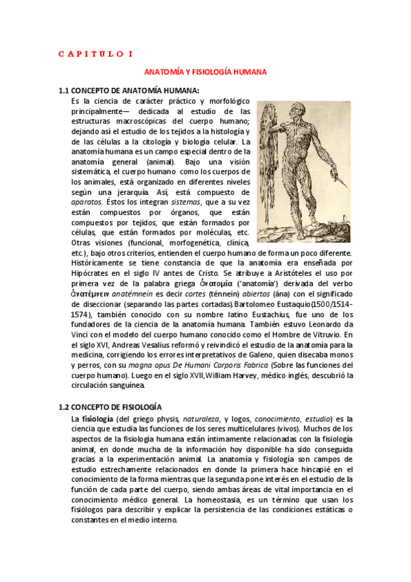 Miniatura del documento anatomia-fisiologia-humana.pdf