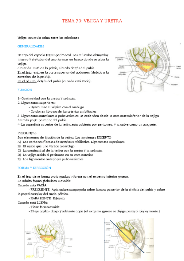 Miniatura del documento TEMA-70-VEJIGA-Y-URETRA.pdf