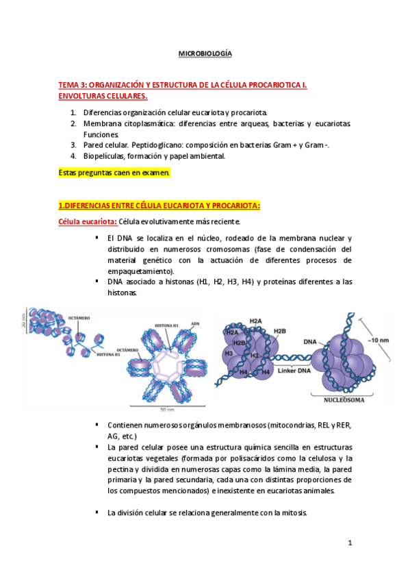 Miniatura del documento TEMA-3.pdf