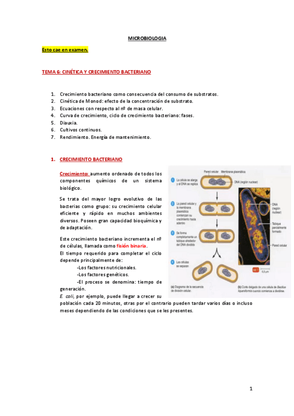 Miniatura del documento TEMA-6.pdf
