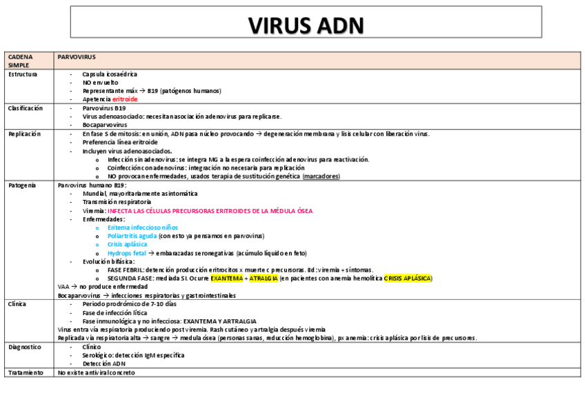 Miniatura del documento VIRUS-ADN-TABLA-RESUMEN.pdf
