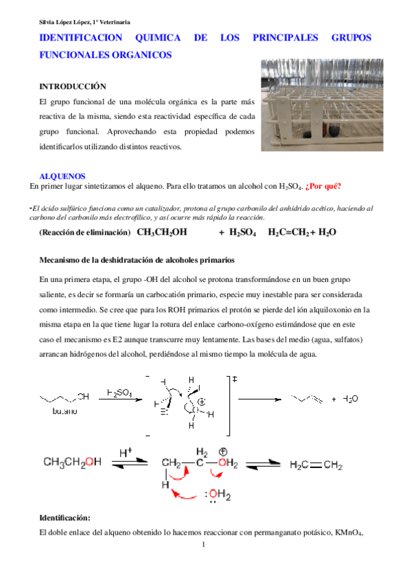 Miniatura del documento IDENTIFICACION-QUIMICA-DE-LOS-PRINCIPALES-GRUPOS-FUNCIONALES-ORGANICOS-1.docx