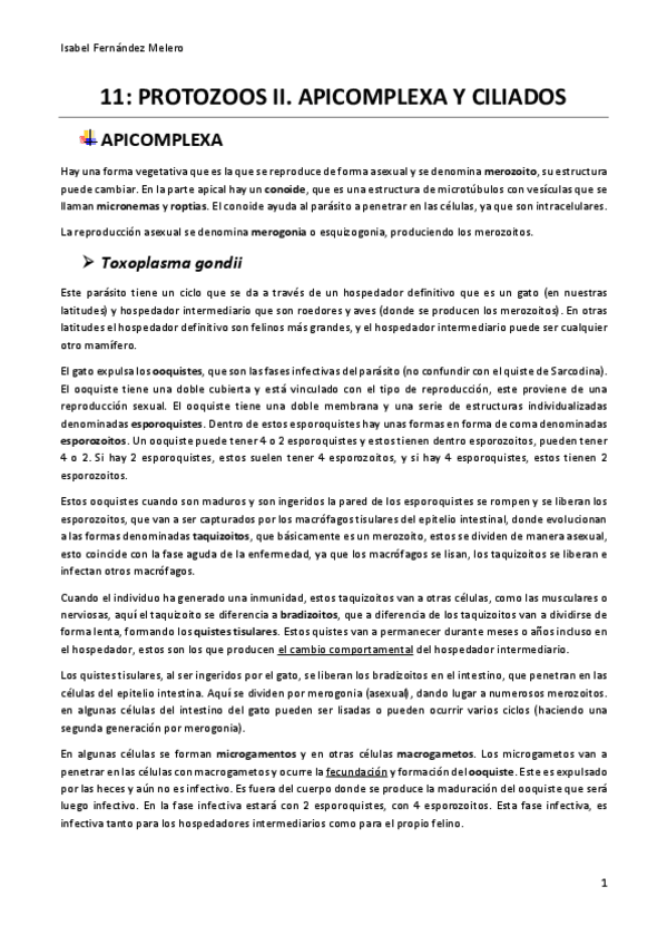 Miniatura del documento 11.pdf