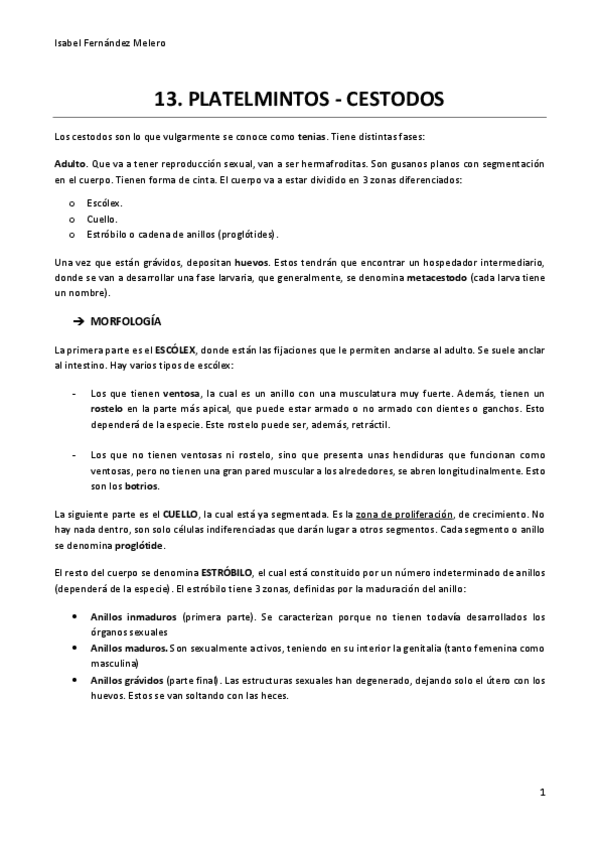 Miniatura del documento 13.pdf