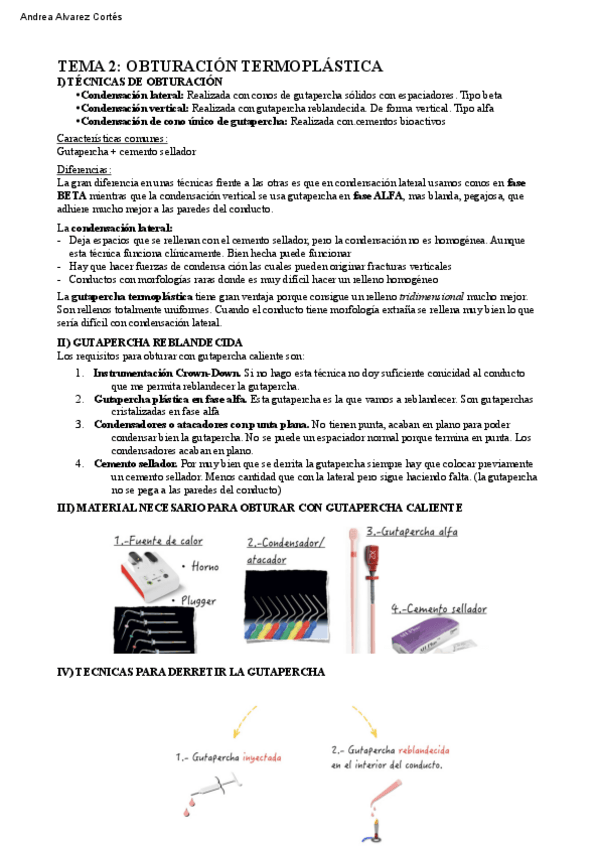 Miniatura del documento Tema-2-PTD-IV.pdf