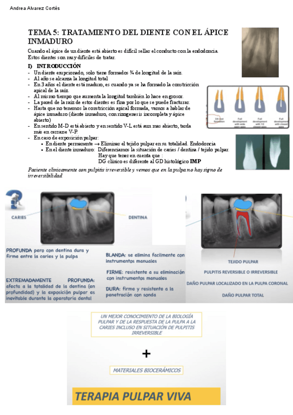 Miniatura del documento Tema-5-PTD-IV.pdf