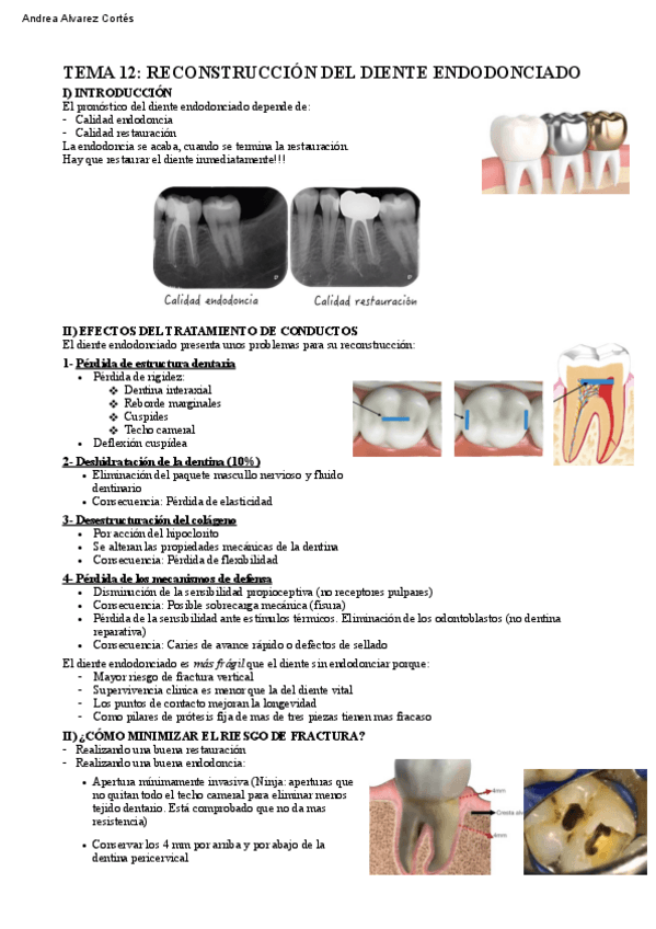 Miniatura del documento Tema-12-PTD-IV.pdf
