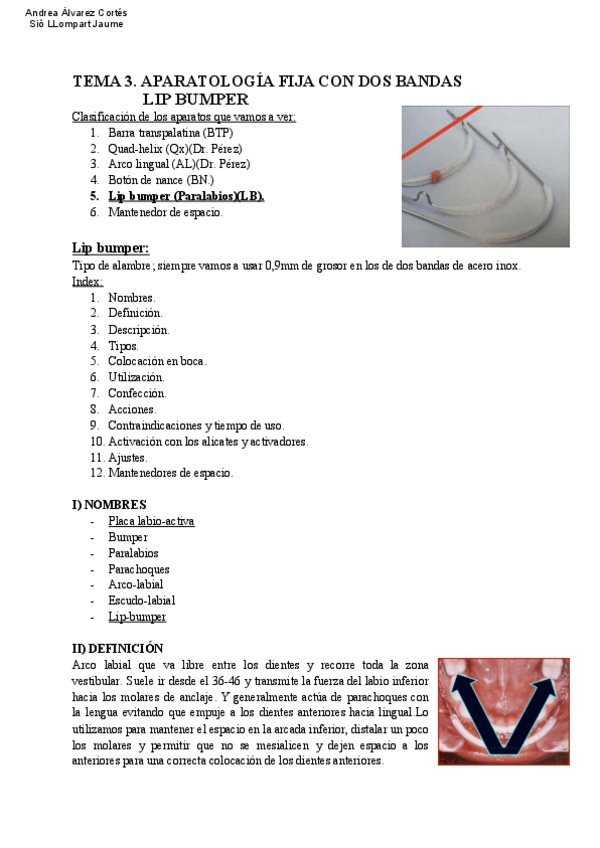 Miniatura del documento Tema-3-ORTO-III.pdf