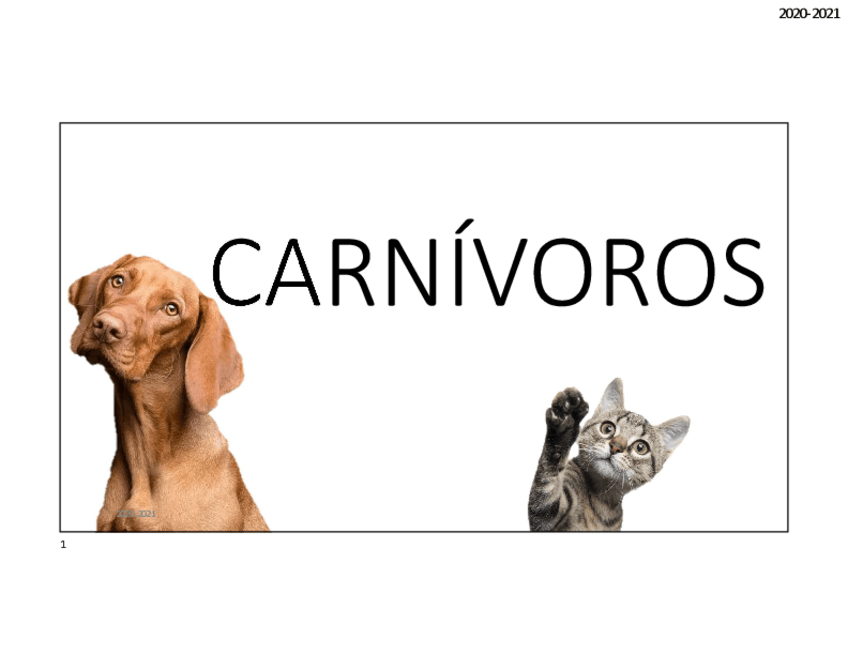 Miniatura del documento Practicas-parasitarias.pdf