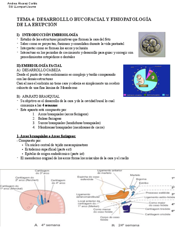 Miniatura del documento Tema-4-COP.pdf