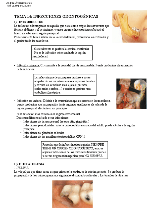 Miniatura del documento Tema-14-COP-.pdf